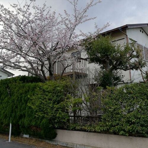 画像1321