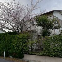 画像1327