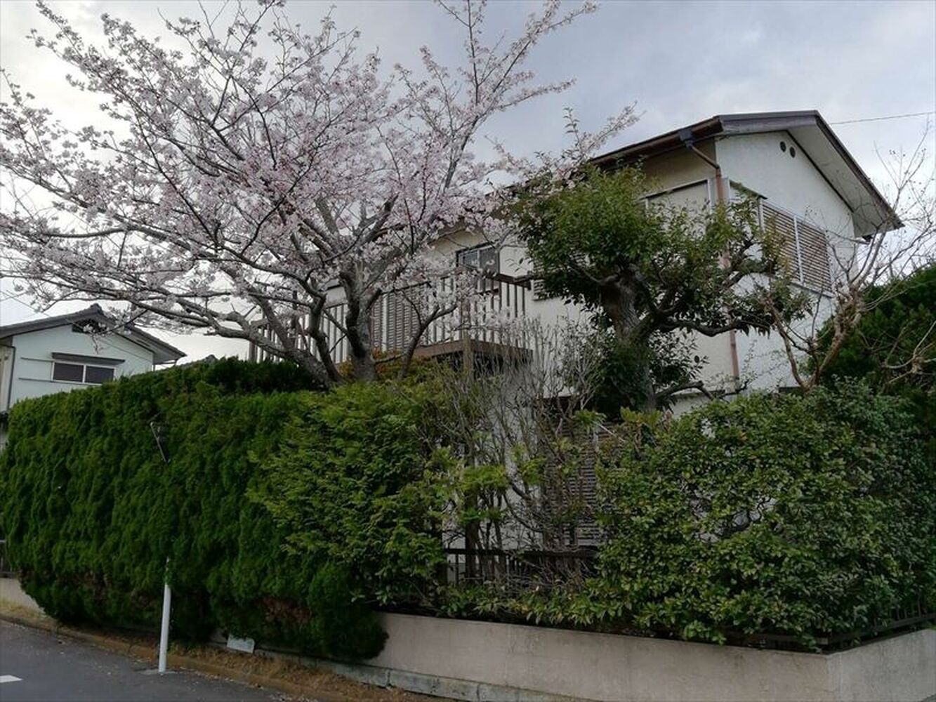 画像1327