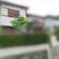 画像1331