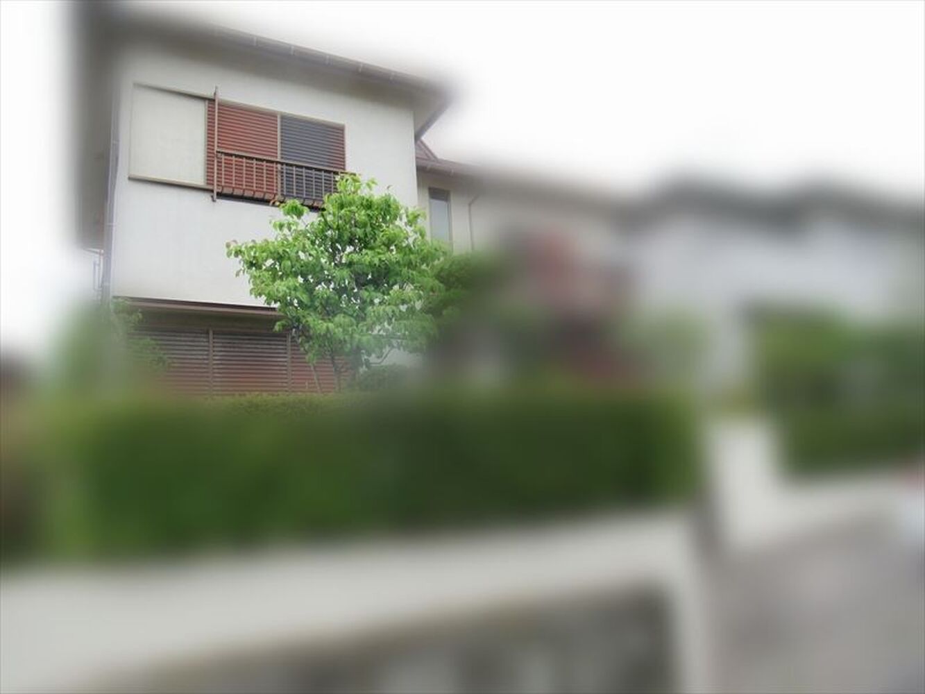 画像1331