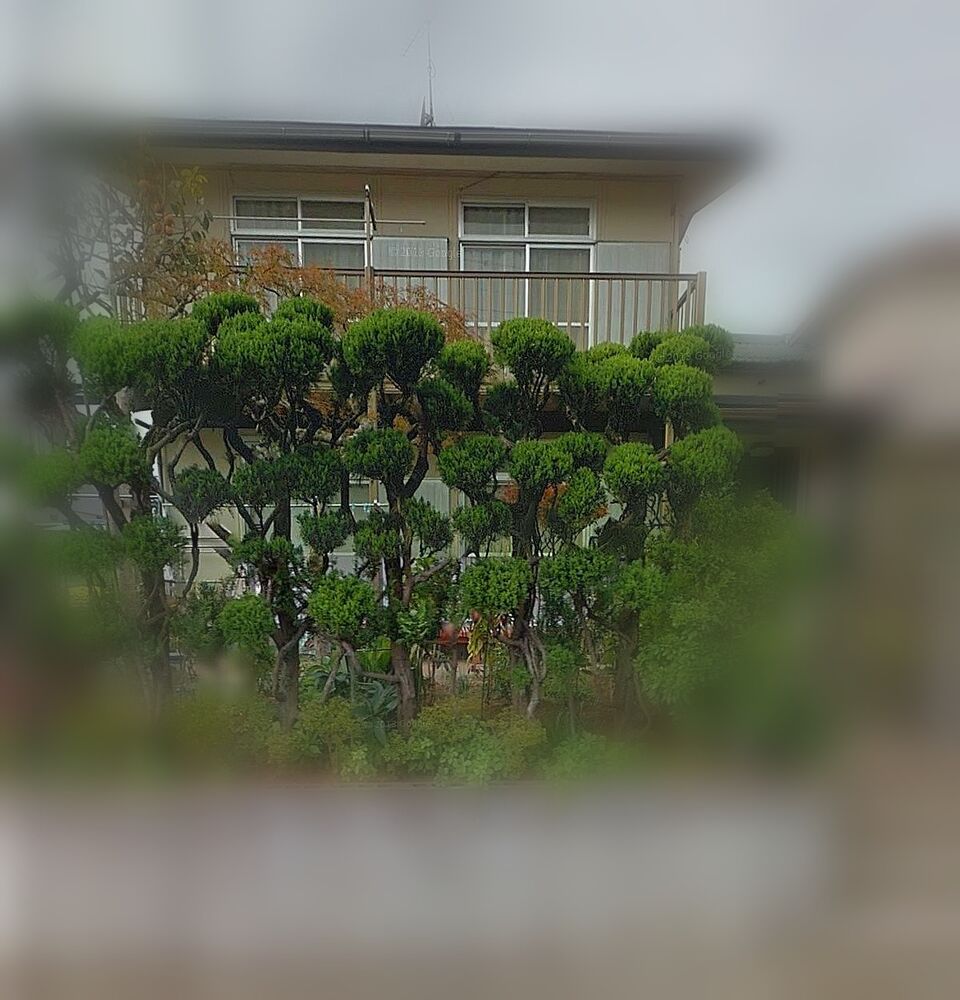 画像1365