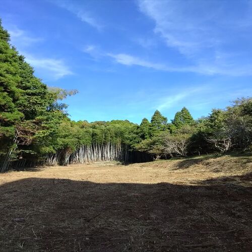 画像1449