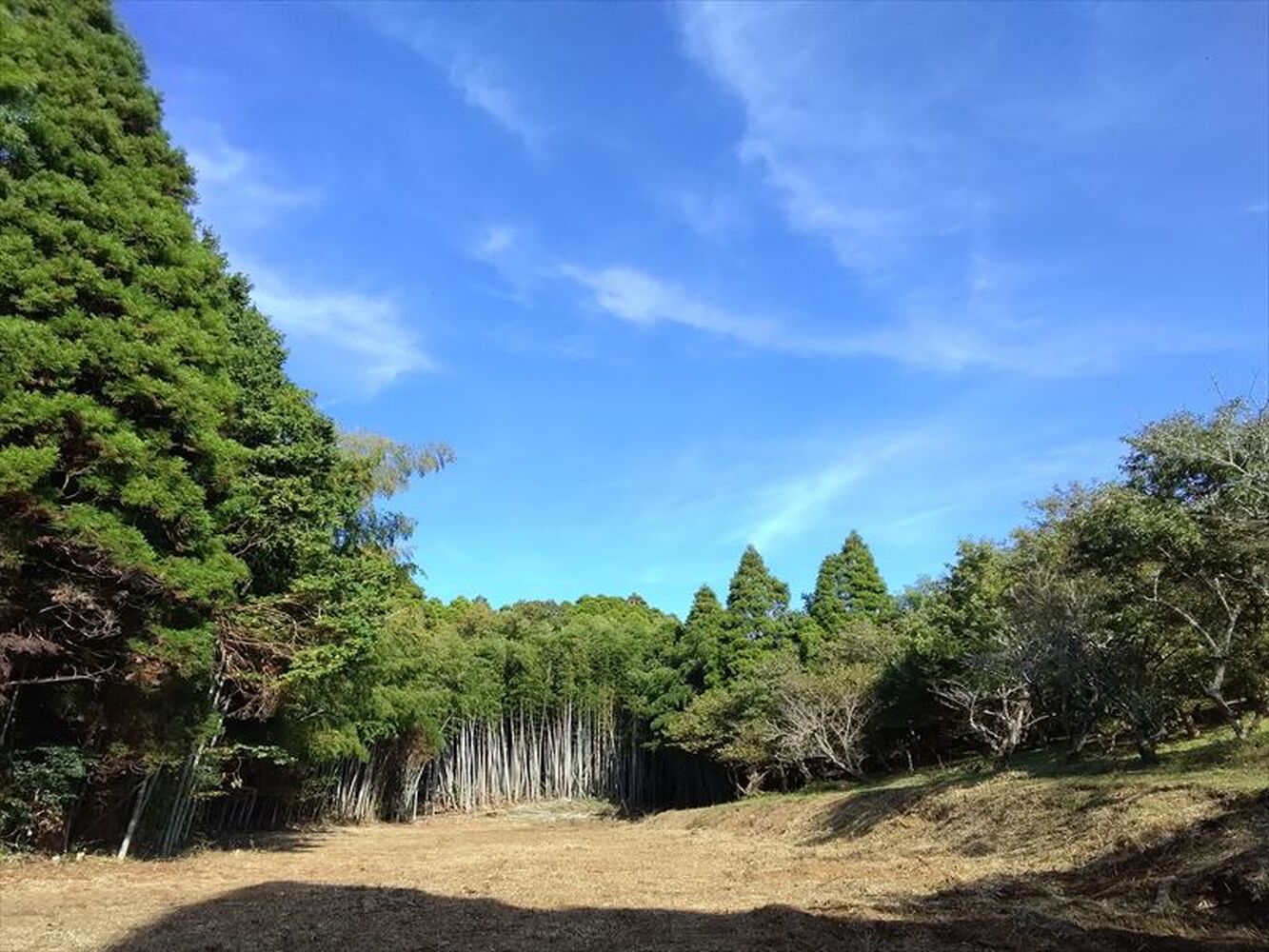 画像1459