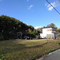 画像1645